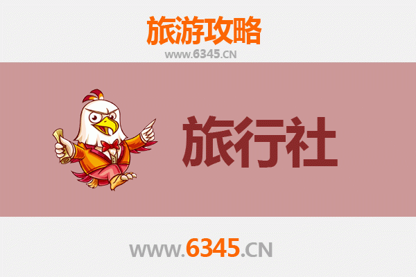 吴忠同心本地旅行社推荐及深度游玩攻略